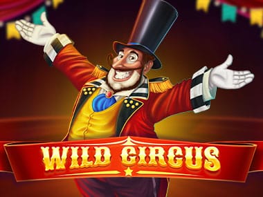 Wild Circus game icon